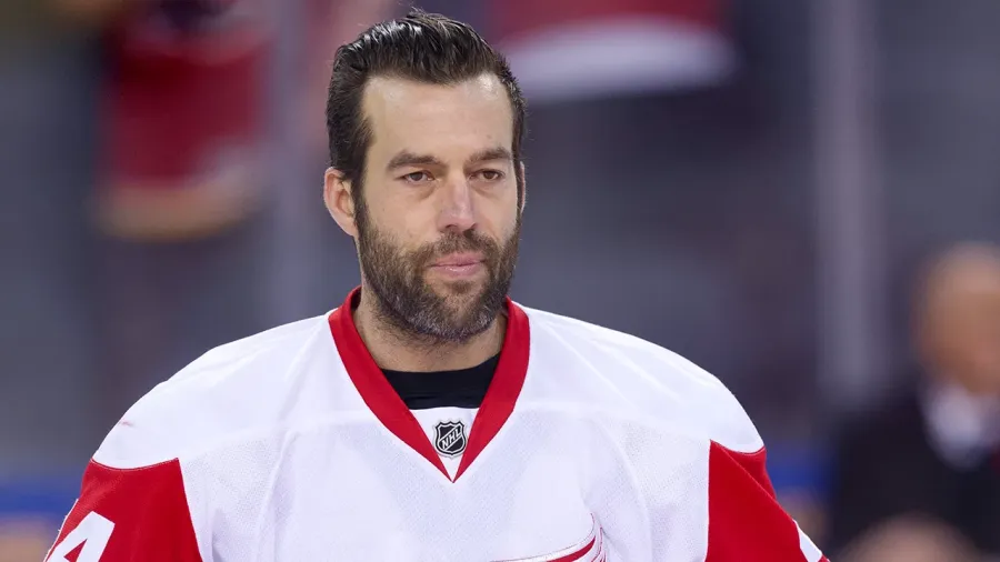Todd Bertuzzi 曾是 NHL 著名的強悍球員,其角色象徵冰球中維持秩序與保護隊友的文化。